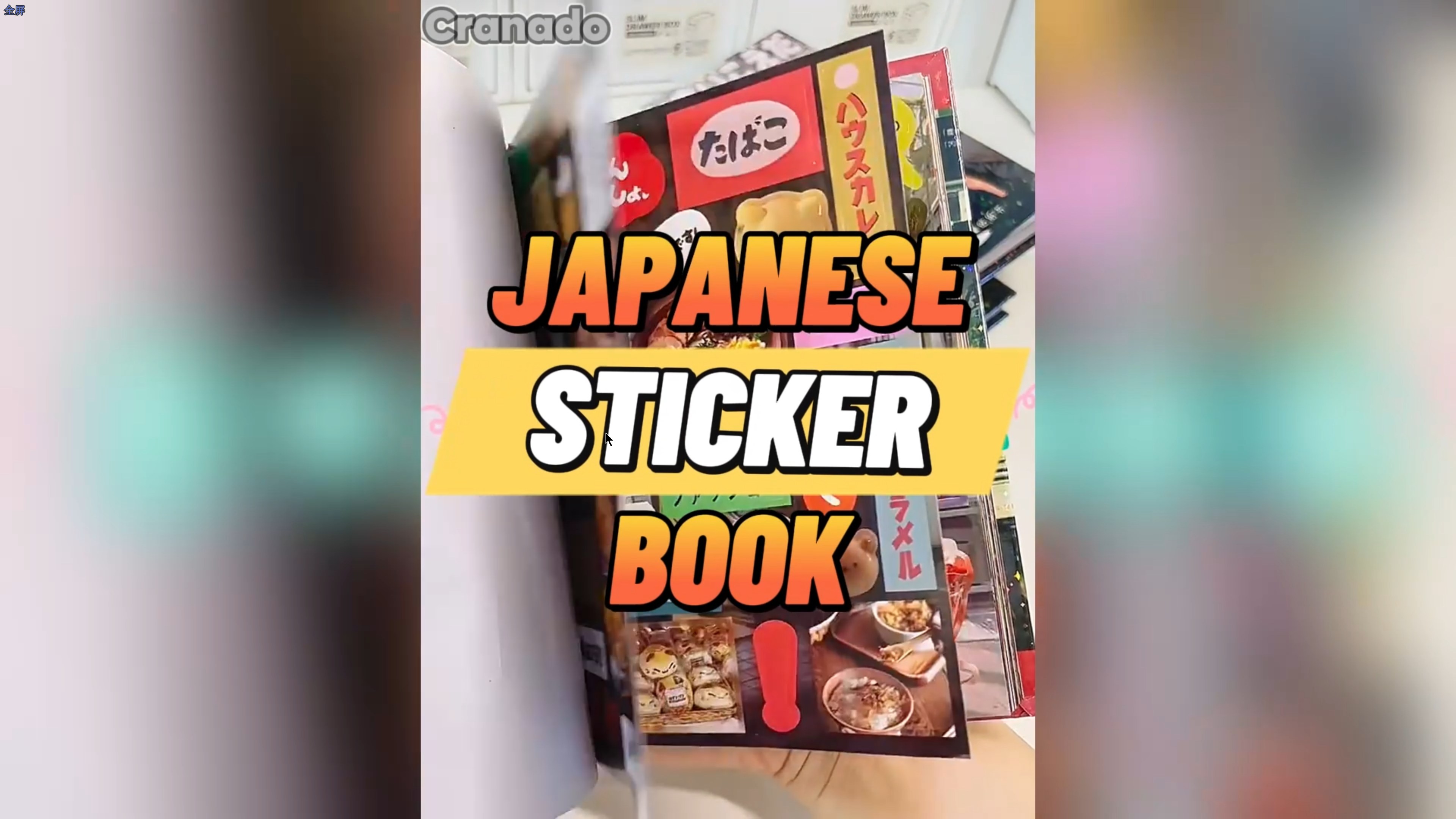 Amazon.com: Japanese Sticker Book,45 Sheets of Romantic Memory
